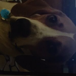 Meet your Posher, Yoon